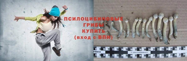 гашик Армянск