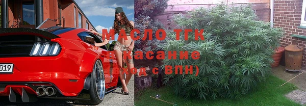 крисы Аркадак