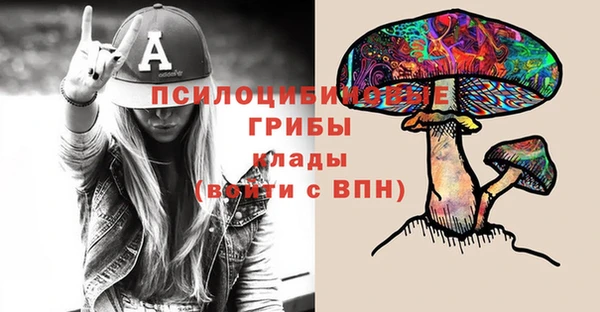 крисы Аркадак