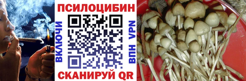 ОМГ ОМГ ТОР Унеча Псилоцибиновые грибы MAGIC MUSHROOMS